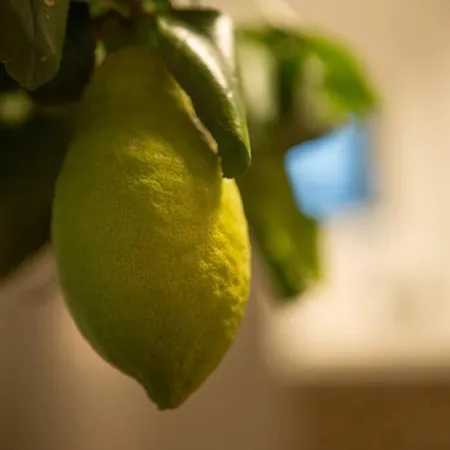 Appartement Hidden Comfort Few Minutes From Center